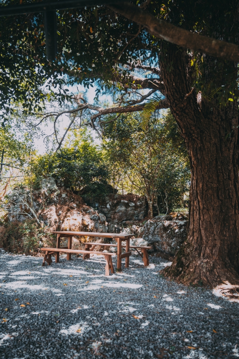 フィリピン留学 Cebu21 - Baguio JIC Premium campus-School View-27